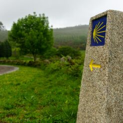 Camino de Santiago: Last 100km Solo